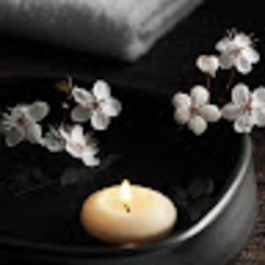 Meet your Posher, Sakura